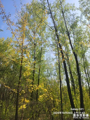 【秋尾拾光】+缤纷秋色