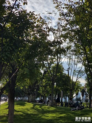 【秋尾拾光】+一抹秋色
