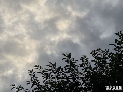 【秋尾拾光】+秋意梦境