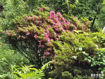 【秋尾拾光】宁静自然