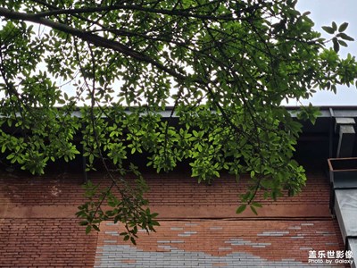 【秋尾拾光】时光里