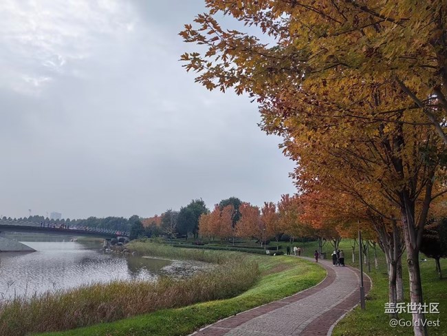 【与秋天合个影】秋意正浓，木叶尽染