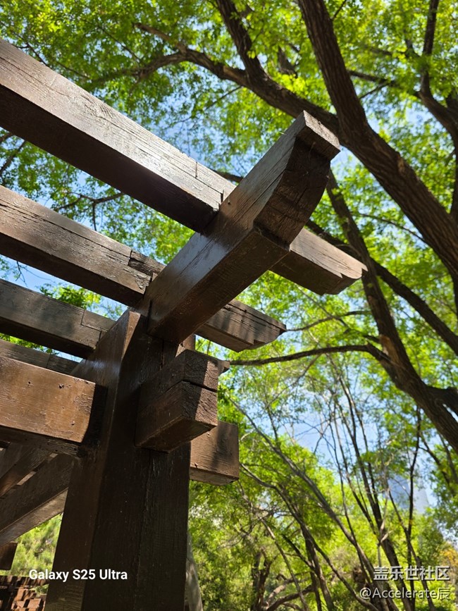 星粉在一起~中山公园一日游！
