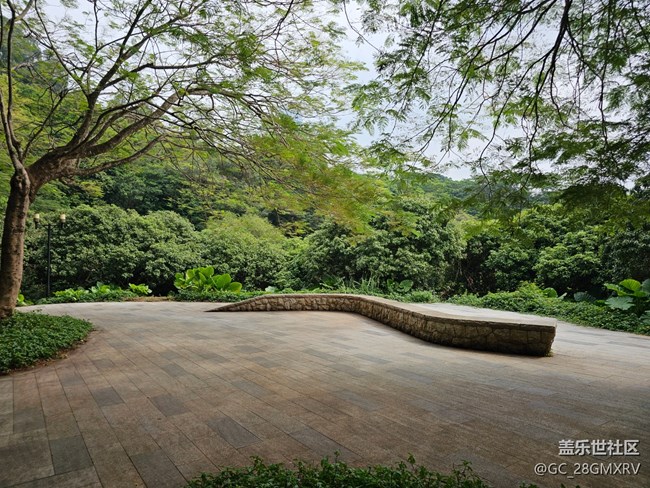 【与秋天合个影】公园闲逛