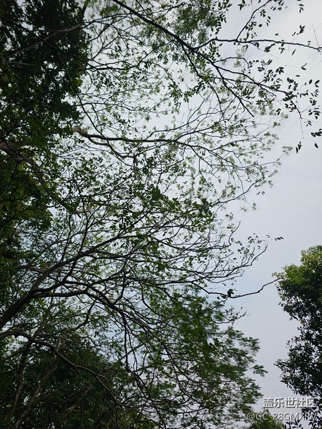 【与秋天合个影】公园闲逛