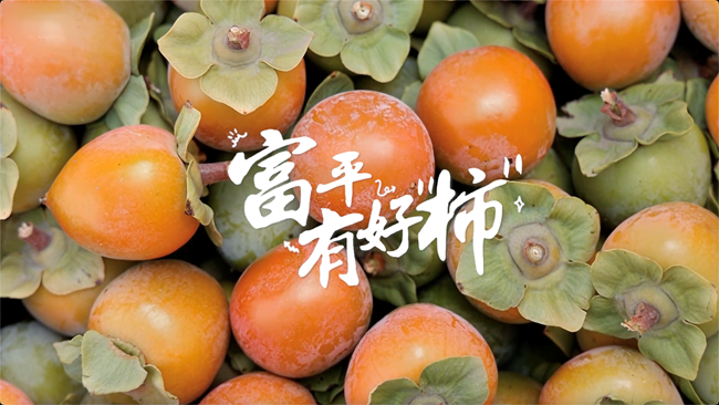 富平有好“柿”