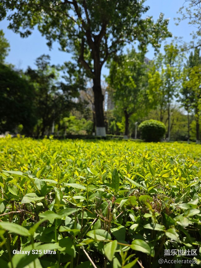 星粉在一起~中山公园一日游！