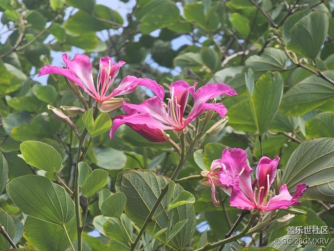 【秋影拾光】一路风景