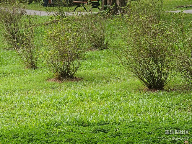 【与秋天合个影】林中小路