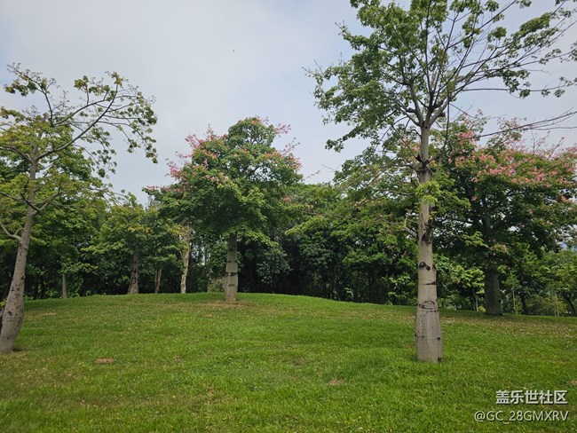 【与秋天合个影】多云