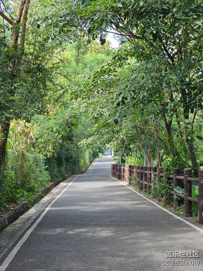 【秋影拾光】一路风景