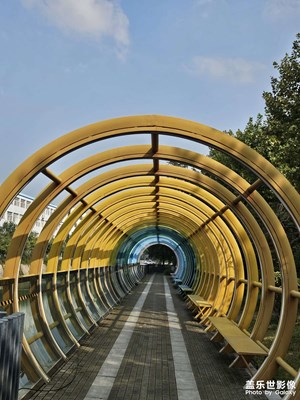 【奇妙的视角】随拍集