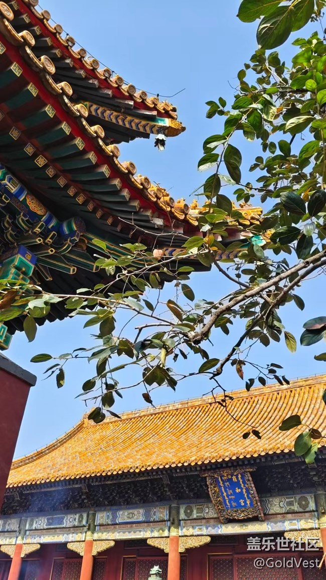 【与秋天合个影】秋日的北京