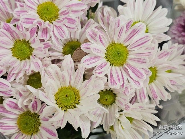 【秋天的明信片】回家路上