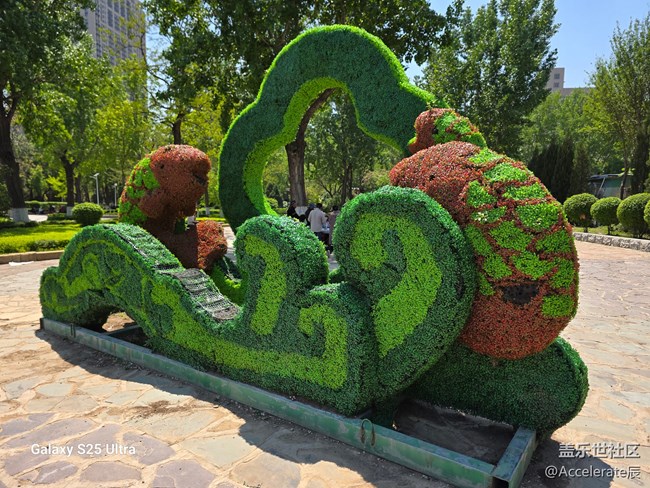 星粉在一起~中山公园一日游！