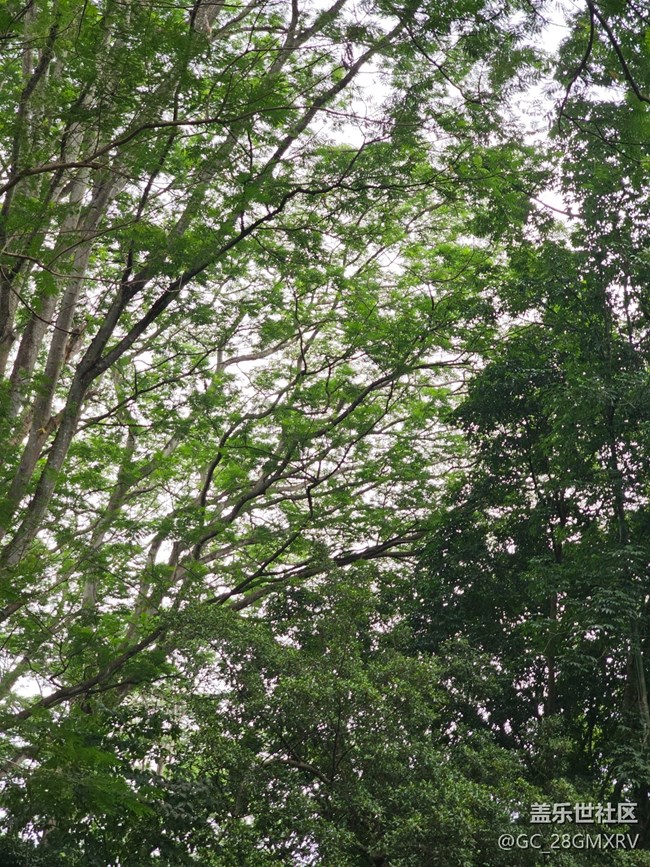 【与秋天合个影】公园闲逛