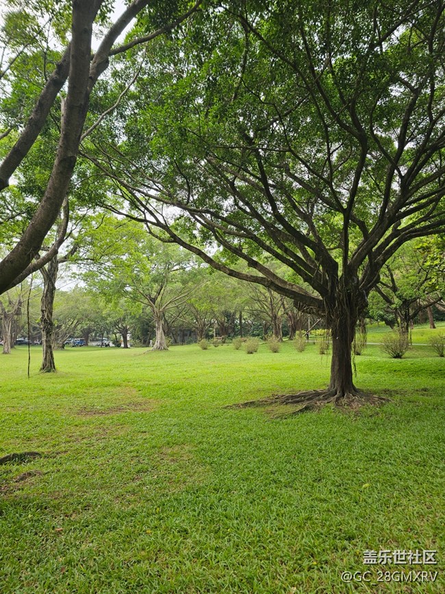 【与秋天合个影】林中小路