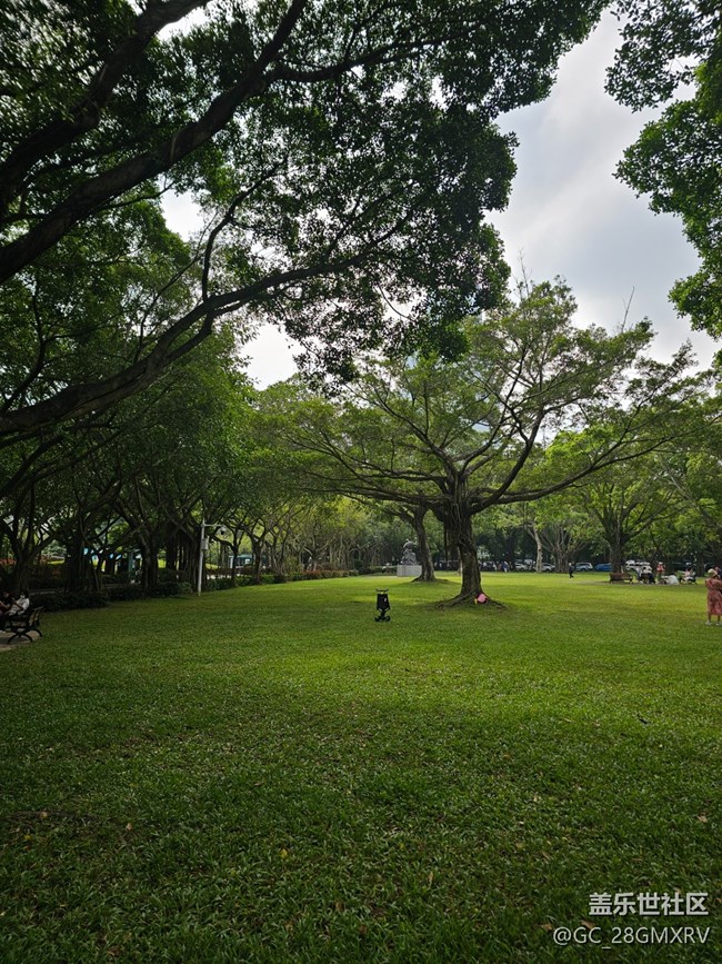 【与秋天合个影】多云