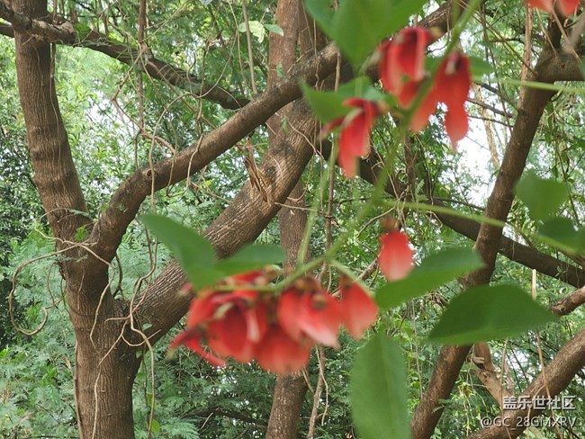 【秋影拾光】一路风景