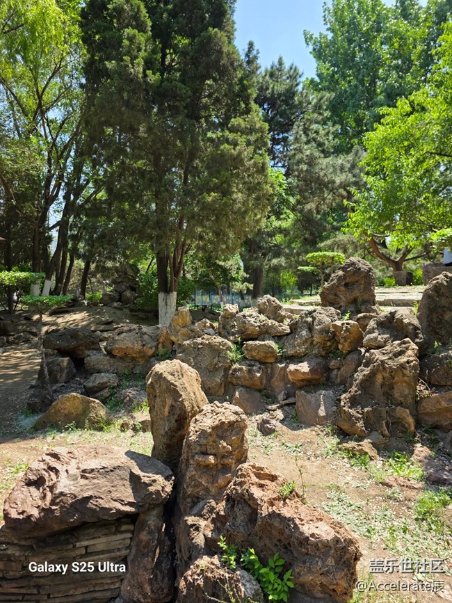 星粉在一起~中山公园一日游！