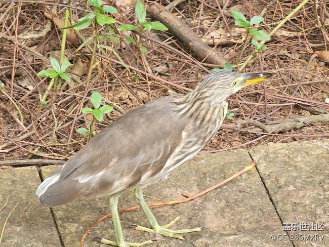 【与秋天合个影】公园闲逛