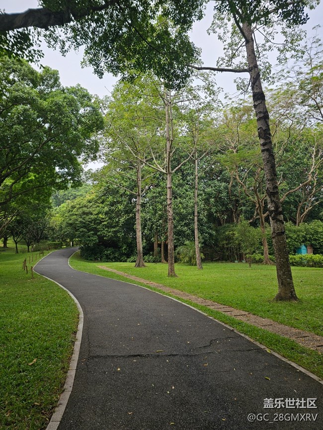 【与秋天合个影】林中小路