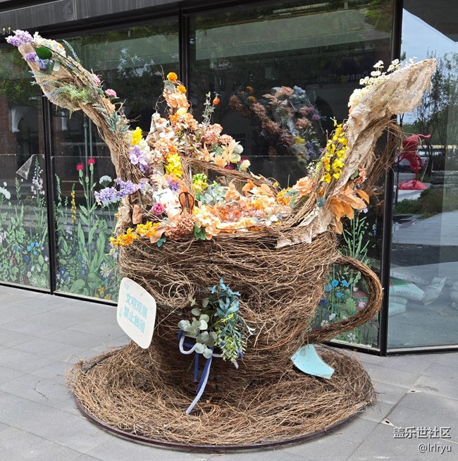 【世间的美好】身边的美好时刻