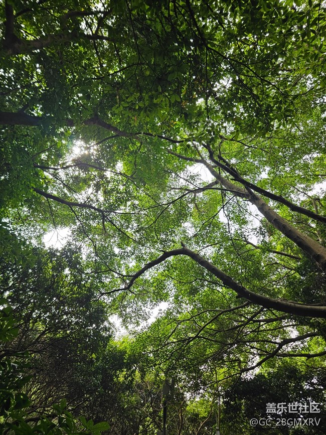 【与秋天合个影】林中小路