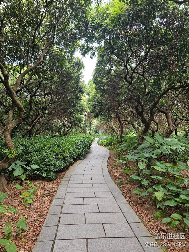 【与秋天合个影】林中小路