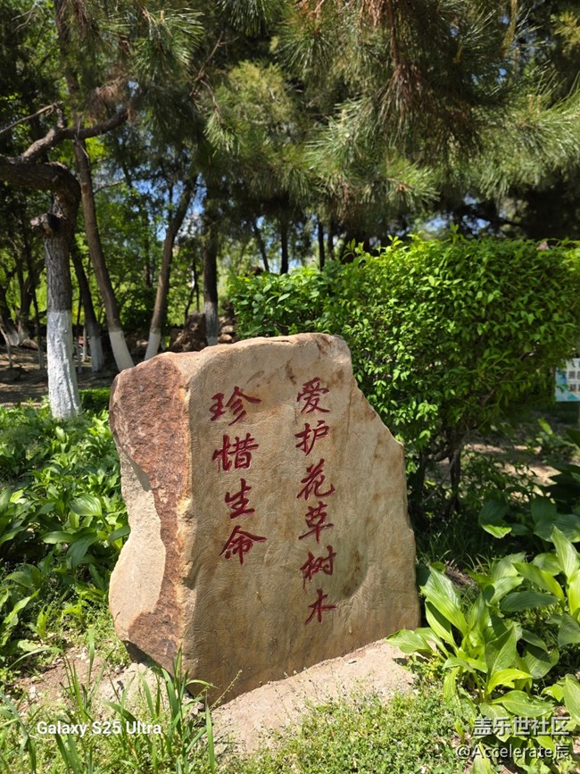 星粉在一起~中山公园一日游！