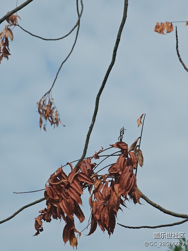 【秋影拾光】一路风景
