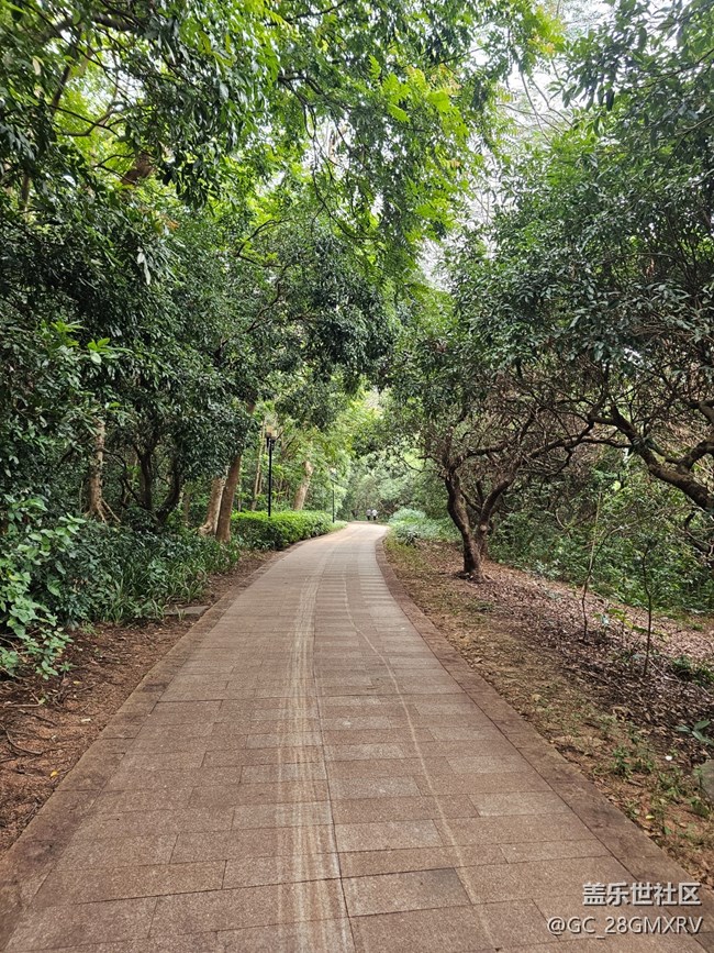 【与秋天合个影】林中小路