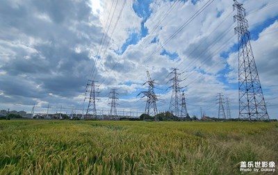 【秋尾拾光】+稻香