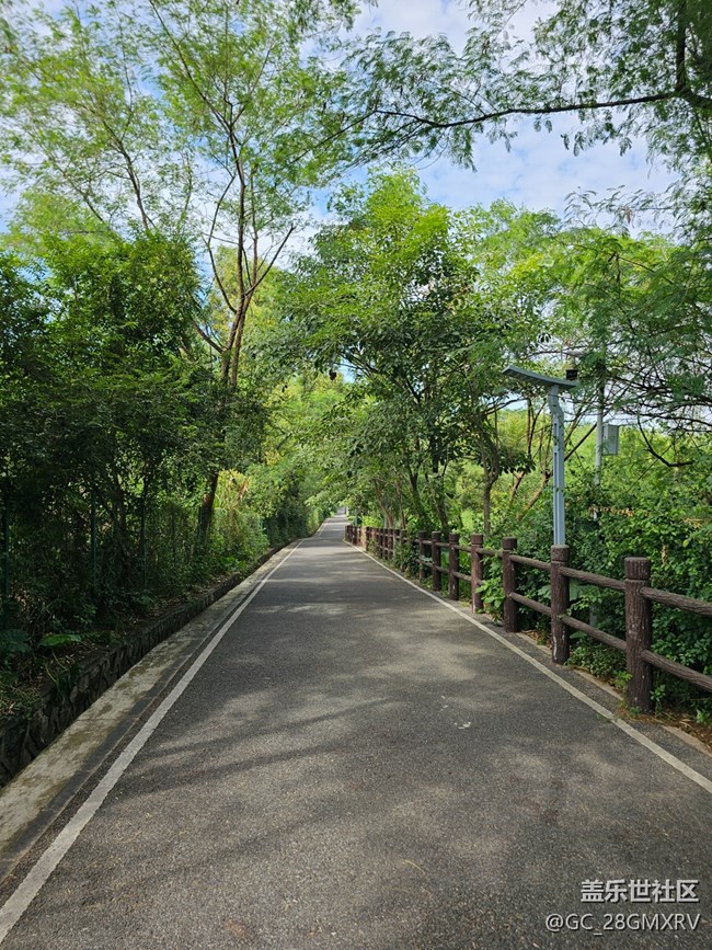 【秋影拾光】一路风景