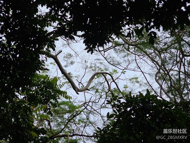 【与秋天合个影】公园闲逛