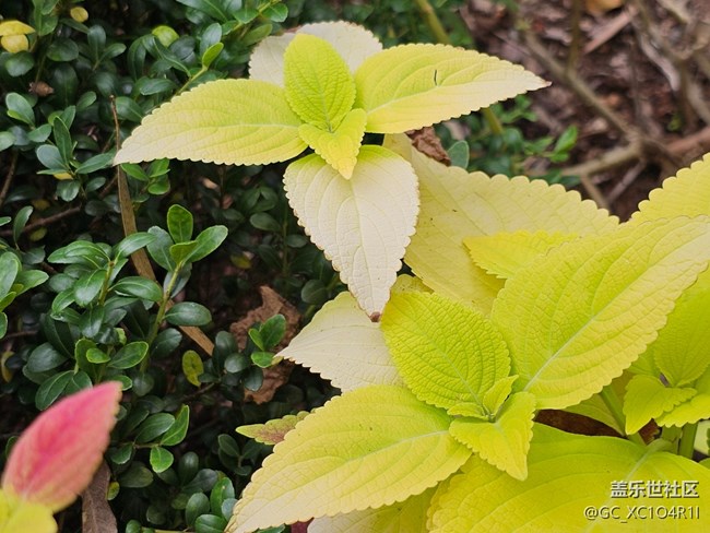 【与秋天合个影】秋天随拍