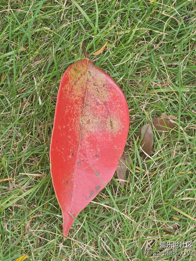 【与秋天合个影】秋景