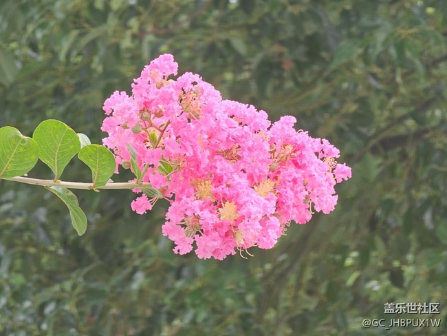 【与秋天合个影】秋景
