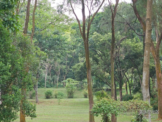 【与秋天合个影】秋天出游