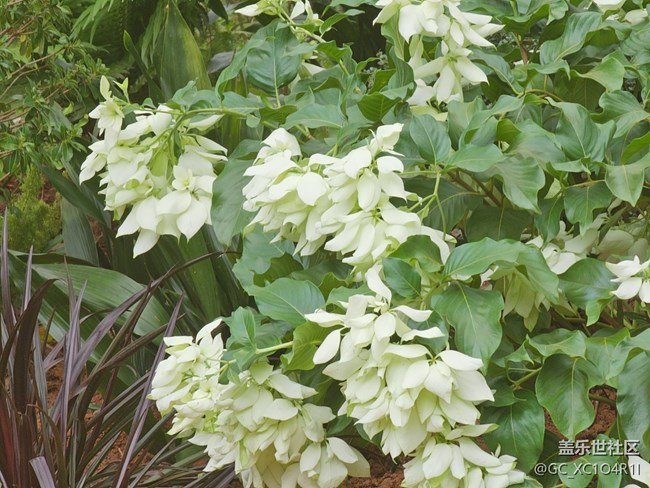 【与秋天合个影】秋天出游