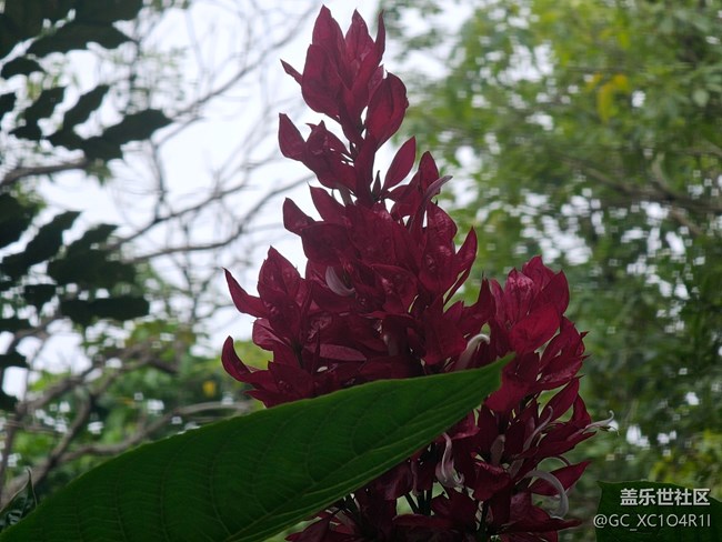 【与秋天合个影】秋天出游