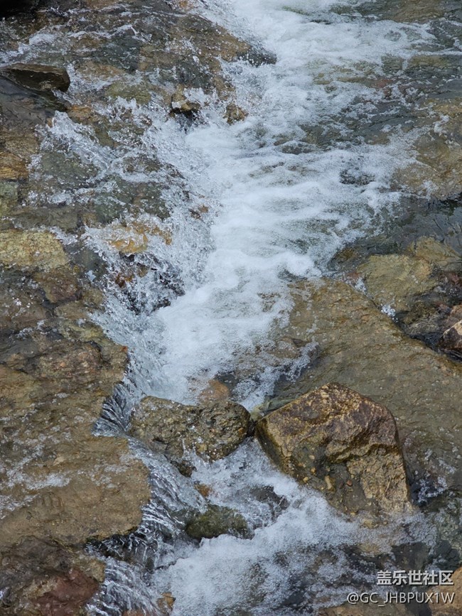 【秋影拾光】秋影拾光