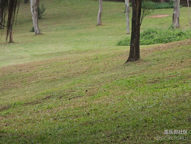 【秋影拾光】秋天