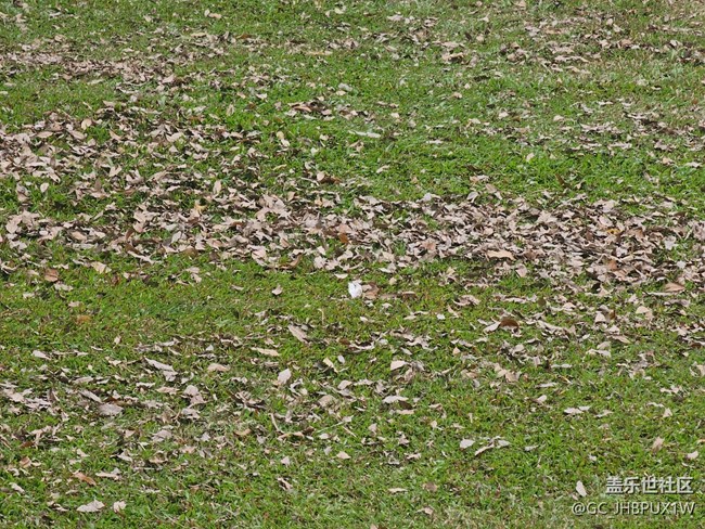 【与秋天合个影】萧瑟