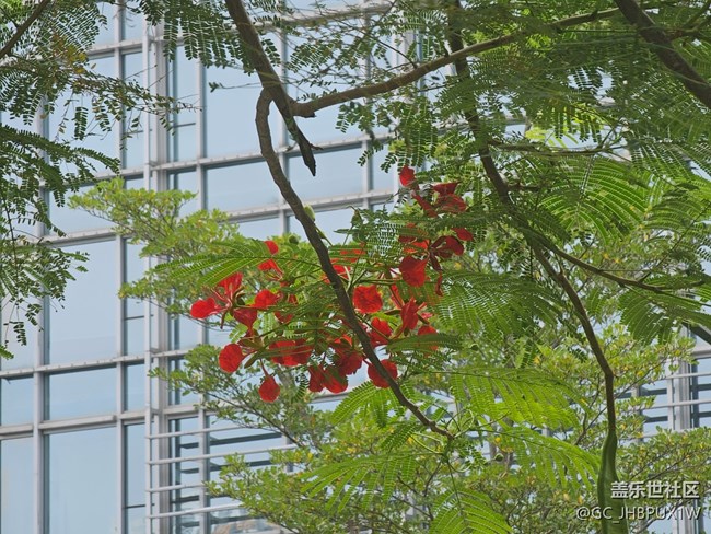 【与秋天合个影】秋景