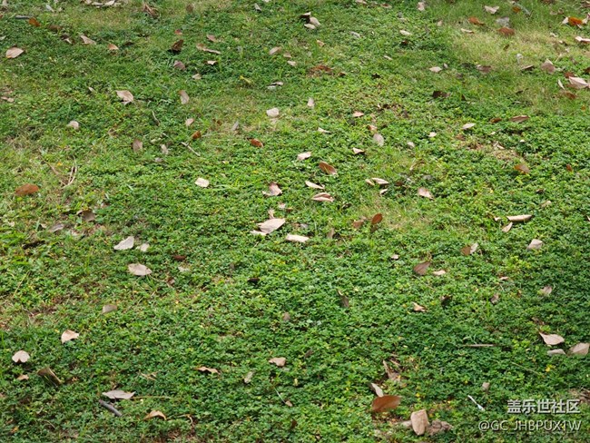 【与秋天合个影】秋景