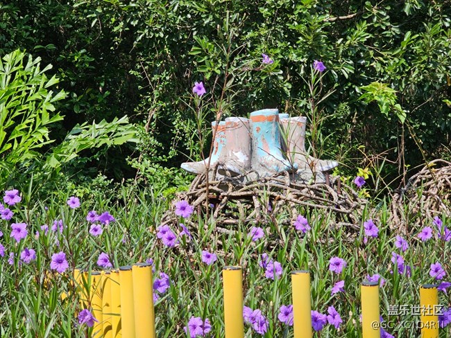 【与秋天合个影】天气晴朗