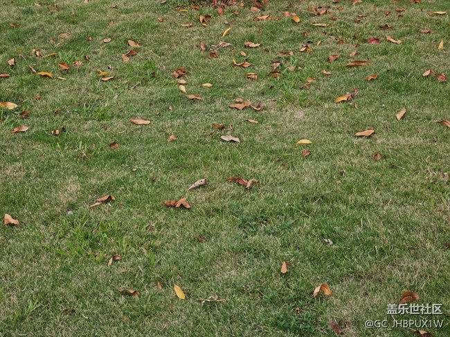 【秋影拾光】秋影拾光