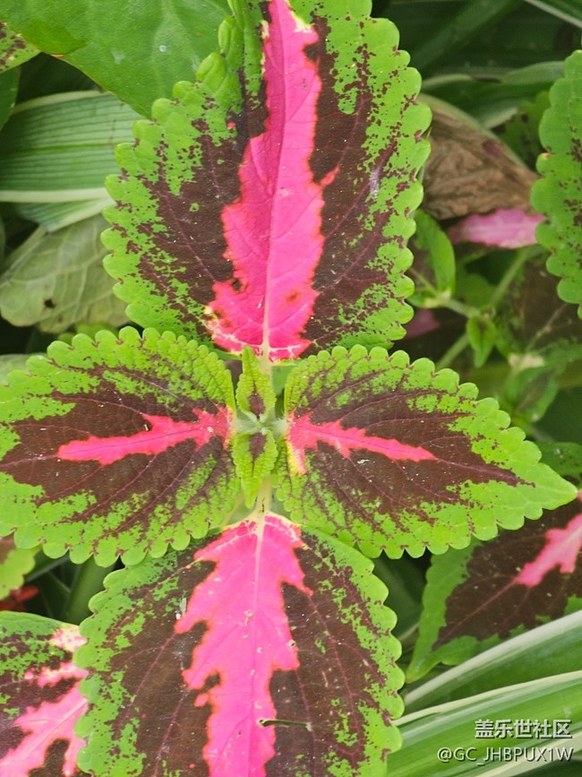 【与秋天合个影】萧瑟