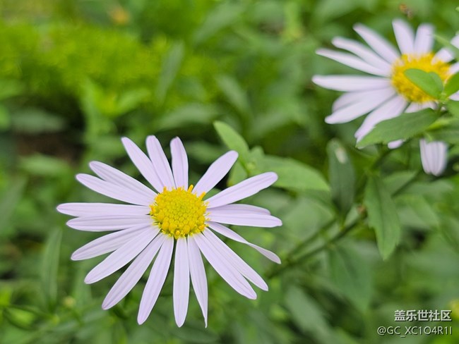 【与秋天合个影】天气晴朗